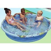 5' Round Decorated Poly Pool - $18.67 (25% off)