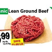 100% Grass Fed, Hormone & Antibiotic Free Organic Lean Ground Beef - $6.99/lb ($5.00 off)