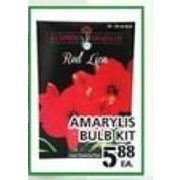Amarylis Bulbkit - $5.88