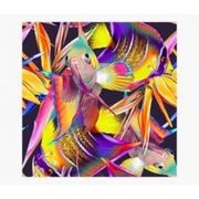 Goldfish/Elk/Nightscape Canvas Print - $14.99 (50% off)