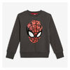 Marvel Spider-Man Sweater In Dark Grey - $17.94 ($4.06 Off)