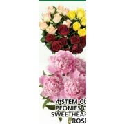 4 Stem Cut Peonies or Sweet Heart Roses - $7.00