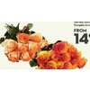 Tinted 12 Stem Roses Premium Ecuadorian  - $39.99 ($5.00 off)