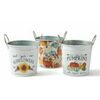 Fall Galvanized Containers by Ashland - $5.99