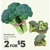 Fresh Broccoli - 2/$5.00