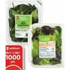 PC Organics Salad Greens - $4.49