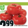 Extra Large Beefsteak Red Tomatoes - $2.99/lb