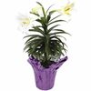 6 inch Easter Lily - $11.99