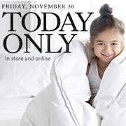 The Bay One-Day Sale: Save Up to $350 on Down Duvets and Pillows + 2% Cash Back